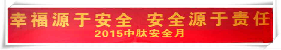 banner_safety production_2015_pic1.jpg